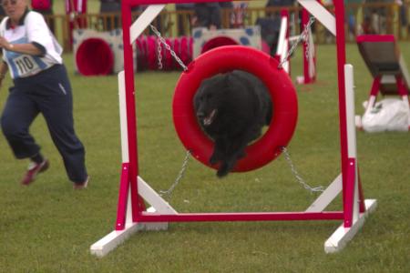 Agility